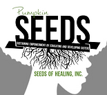 SEEDS of Healing, Inc. Image